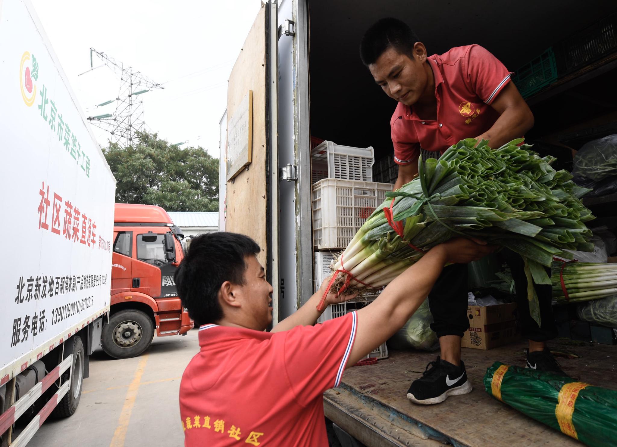 民企担当献爱心 90吨蔬菜驰援西安-西部之声