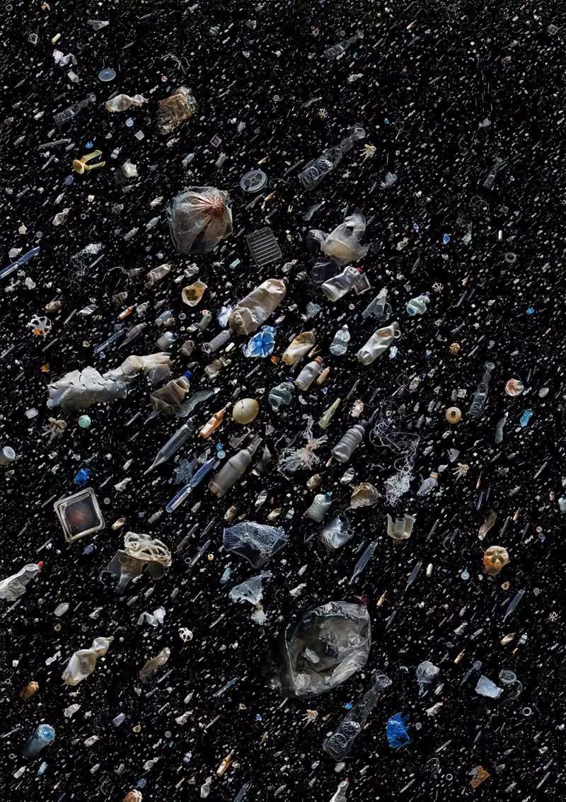 她痴迷于海边捡垃圾,拍出美到窒息的照片,然而背后的真相令人触目惊心