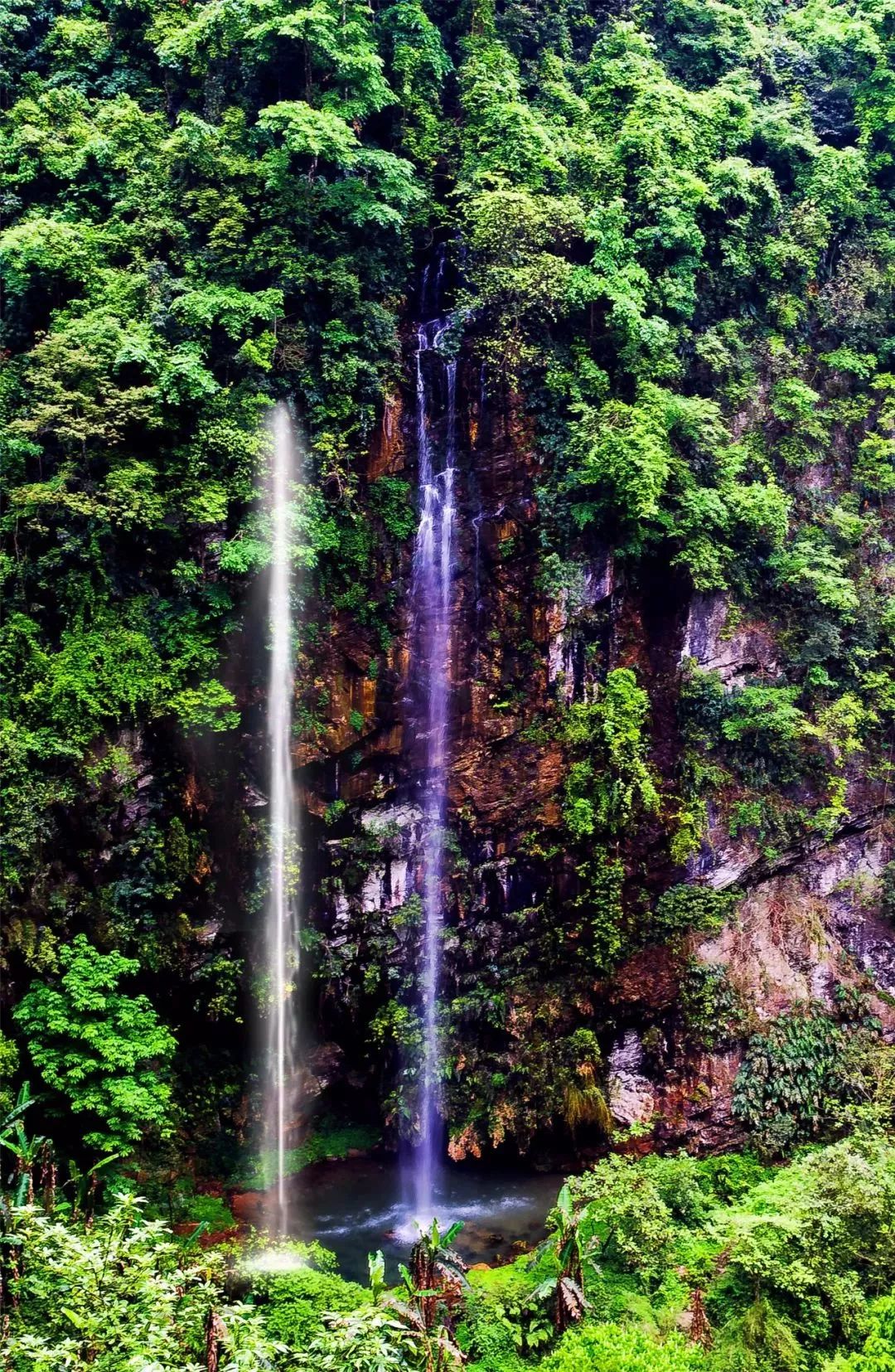 道路千万条女神第一条师宗凤凰谷景区3月8日给女神的福利