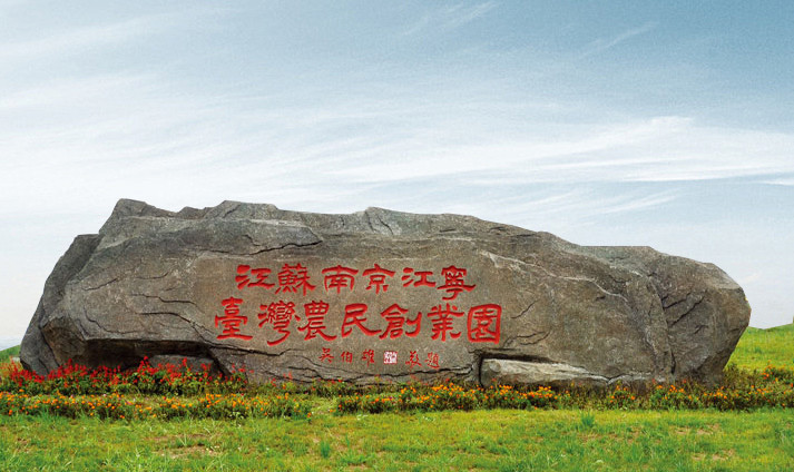 江宁台创园的特色兔眼蓝莓真的很像兔子眼睛