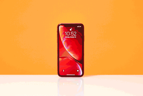 500_334gif 动态图 动图