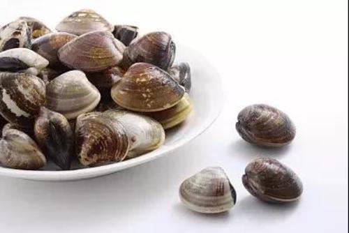 【食疗】 常熬夜,易上火,试试黄沙蚬豆腐煲骟鸡汤