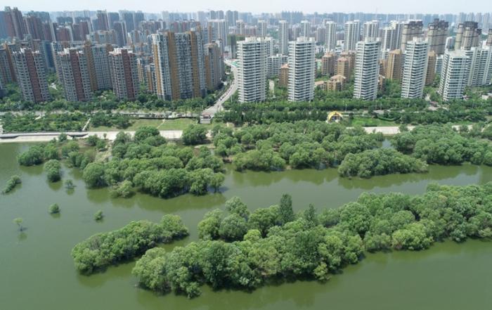 新华社记者 邵瑞 摄这是西安浐灞生态区雁鸣湖休闲
