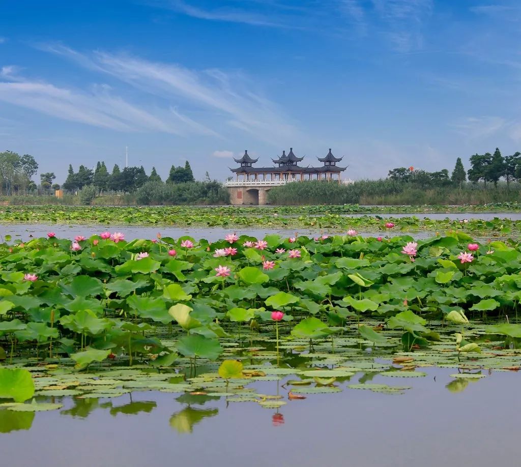 519中国旅游日约"惠"精彩,大美宿迁邀你来