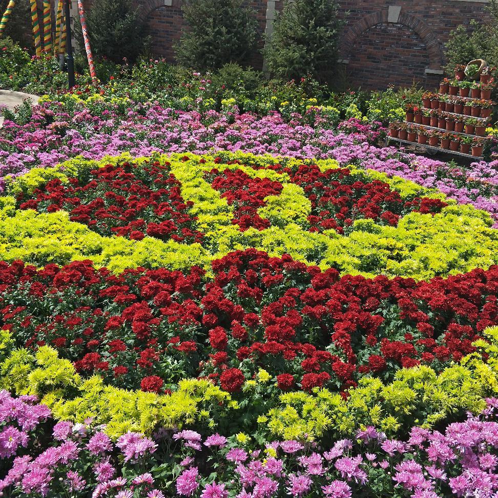 五一国内旅游人数,收入双增长 多地万达乐园各显神通助力消费升级