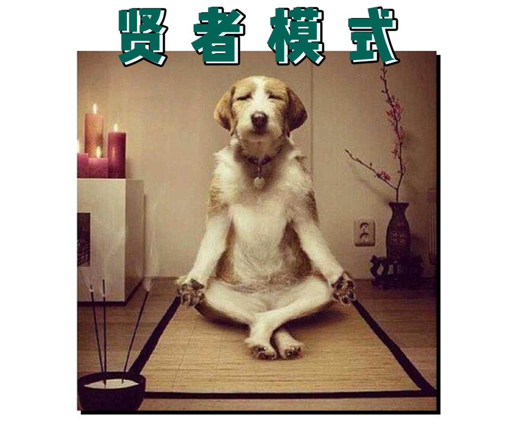 可以静下心来思考一下这个问题进入贤者模式的你现在同样都是亚洲国家