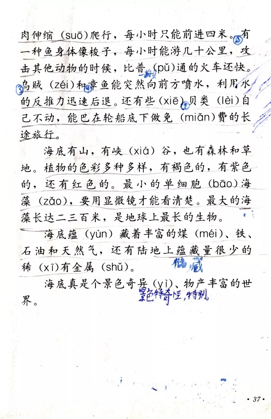 海底世界丨那些年我们一起读过的课文