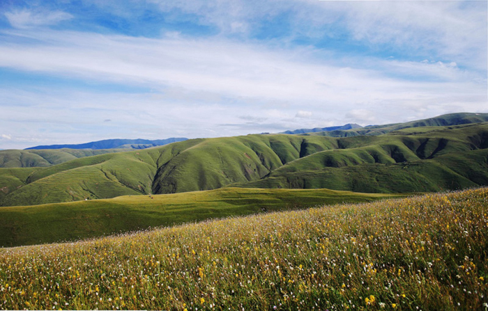 白皮书青藏高原地区仍然是地球上最洁净的地区之一