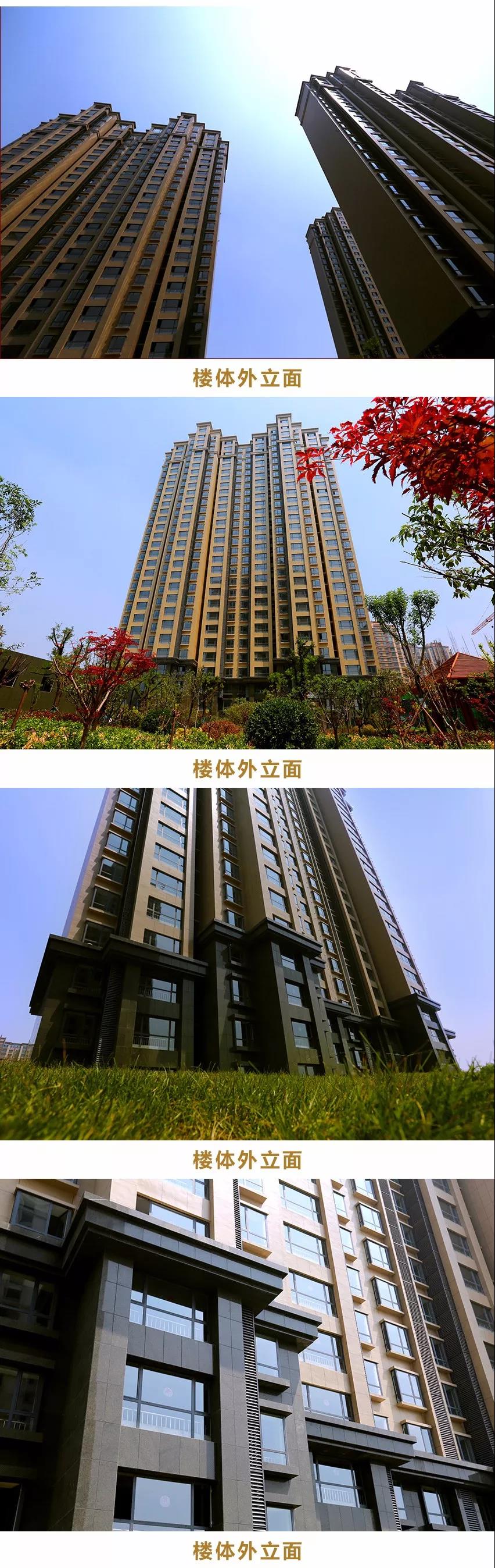 细节品质控快看!滨州这个小区太美了!