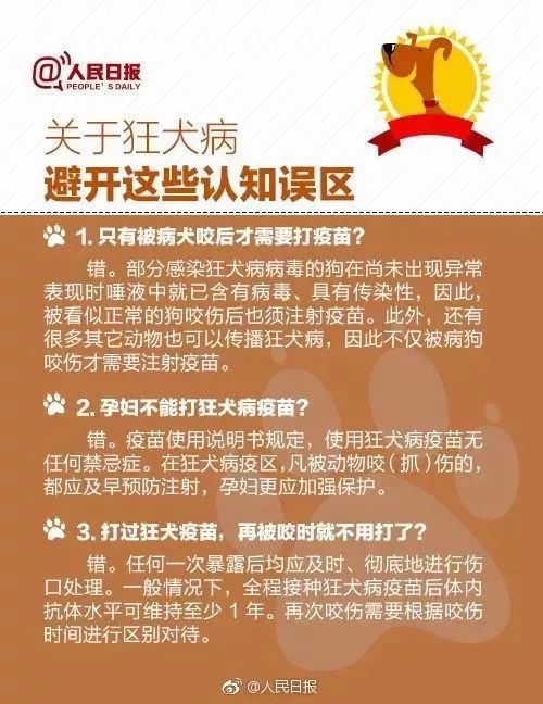 狂犬|狂犬病|患者_新浪新闻