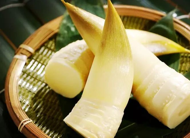 盘点春天特有的食物?春天特有的食物