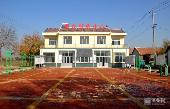 沾化区下洼镇:省派乡村振兴服务队"枣"行一步