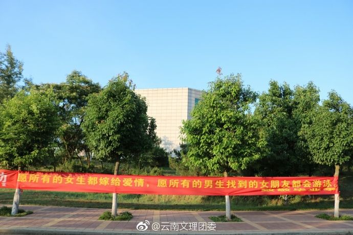 尤其第一个.|横幅|大学生|毕业季_新浪新闻