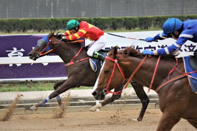 原創2019中國武漢速度賽馬公開賽友好城市賽馬日開跑繼續上演速度與