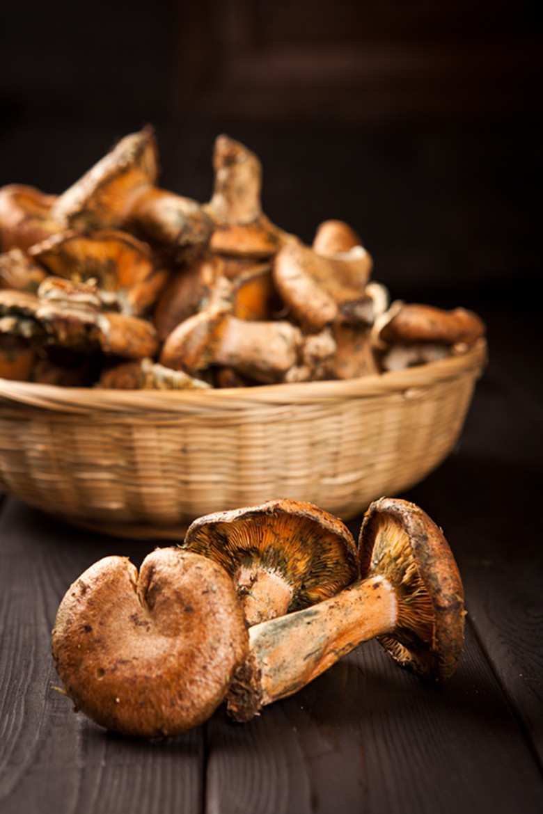 一颗小小的寒菌在庄家人眼中是极其珍贵的,也是全家强身健体的佳肴