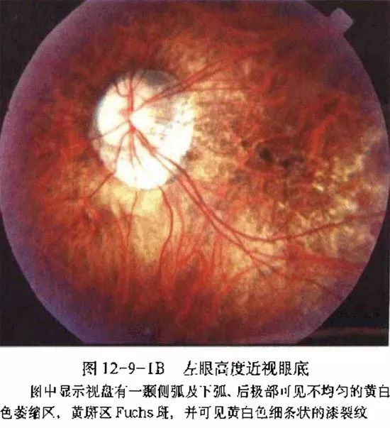 震惊暑假到了家长们竟然都带着孩子去干这种事