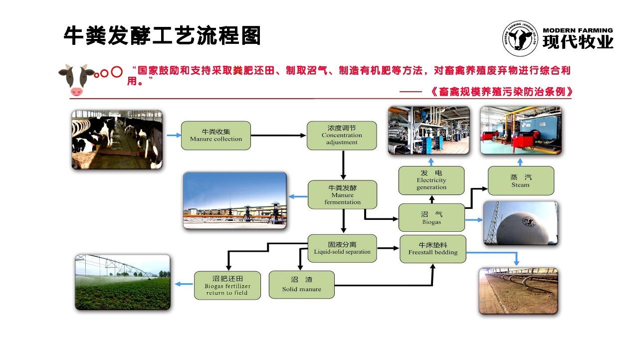 "现代牧业从农田到牛舍,从挤奶厅到装瓶车间,几乎没有废弃物,这一切都