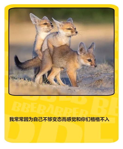 "你竟然骗我,今天我要让你身败名裂"话音刚落,我的……被掰断了