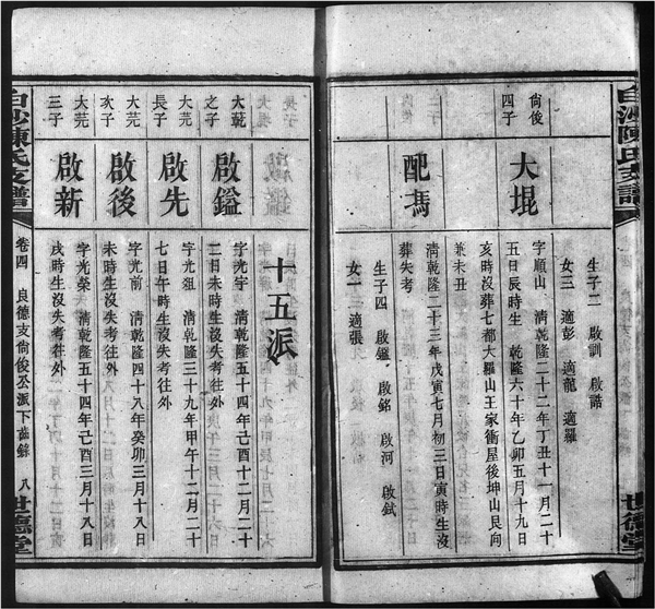 《白沙陈氏支谱》(犹他家谱学会藏)