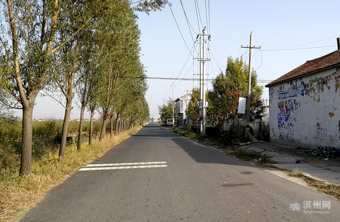 沾化区下洼镇:省派乡村振兴服务队"枣"行一步