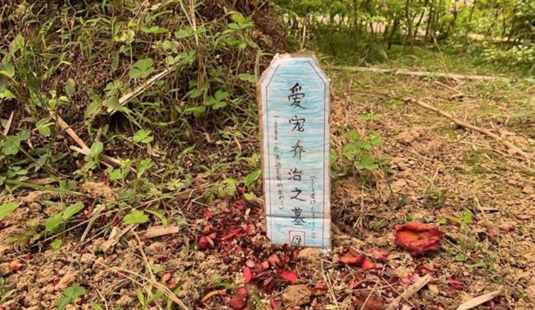南寧一小區(qū)綠化帶出現(xiàn)一個寵物墳?zāi)梗l(fā)業(yè)主疑慮。網(wǎng)絡(luò)圖
