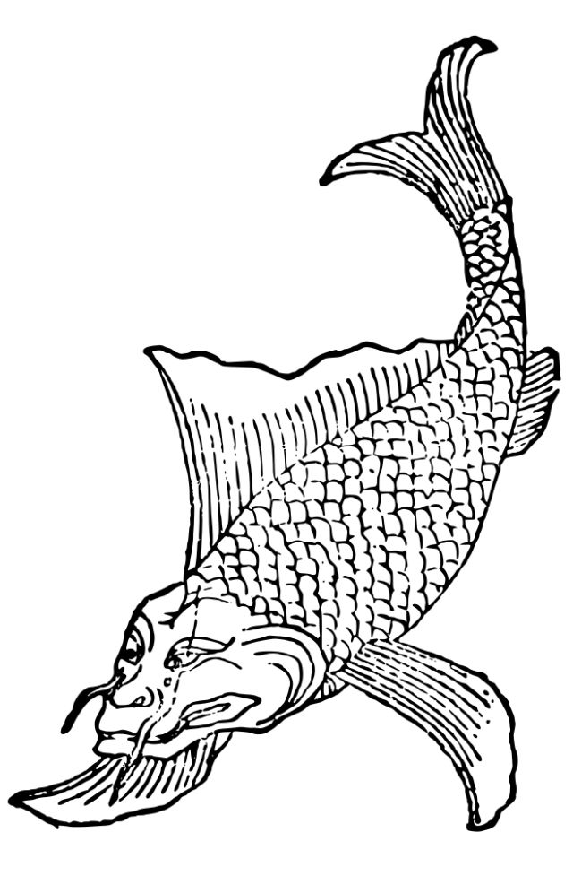 土世界,到《冰与火之歌》硝烟四起的维斯特洛大陆,从《山海经》到九州