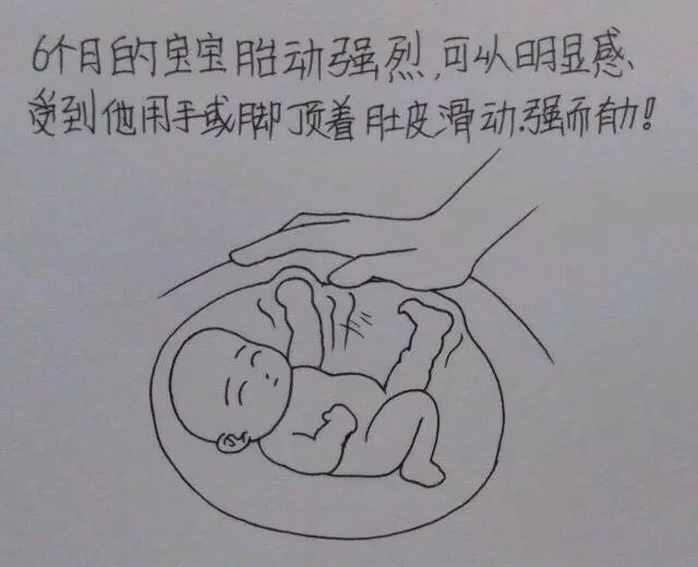 怀孕七个月的时候他们开始了胎教也开始给即将要出生的宝宝各种囤货本