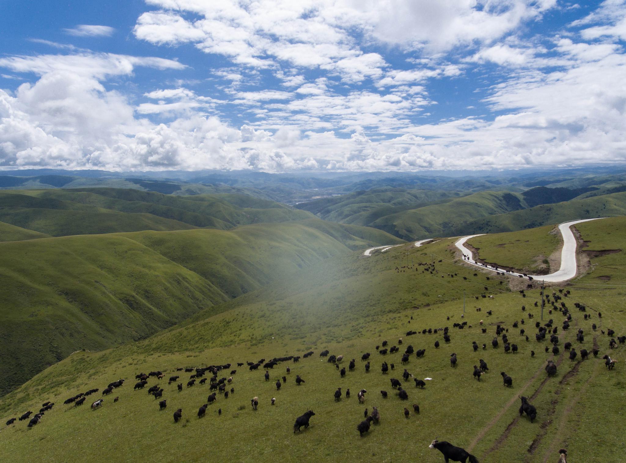 四川省壤塘县上南路全长近40公里,在当地海拔3000米以上的山间