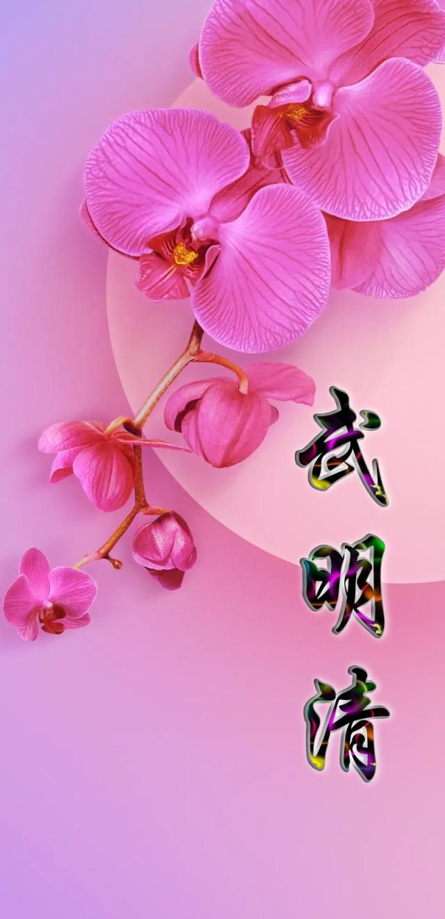 蝴蝶兰花语和象征寓意都那么美好,不同的颜色寓意不同,手机壁纸__财经