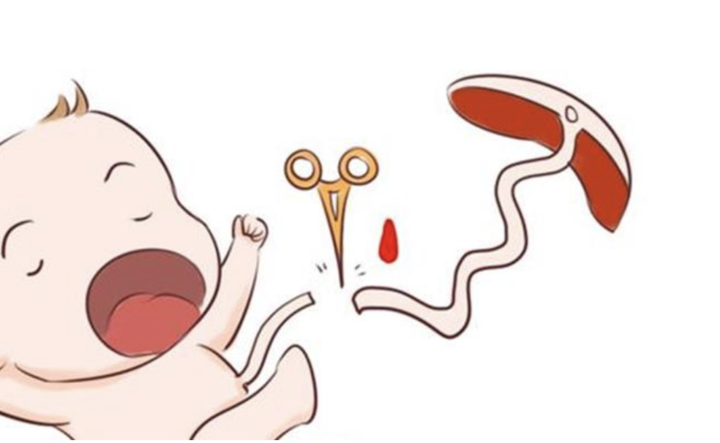 大体重成年患者用脐带血移植取得治疗上的成功