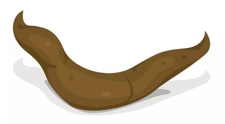 上厕所后瞄一眼大便若是出现4迹象小心肠癌盯上你