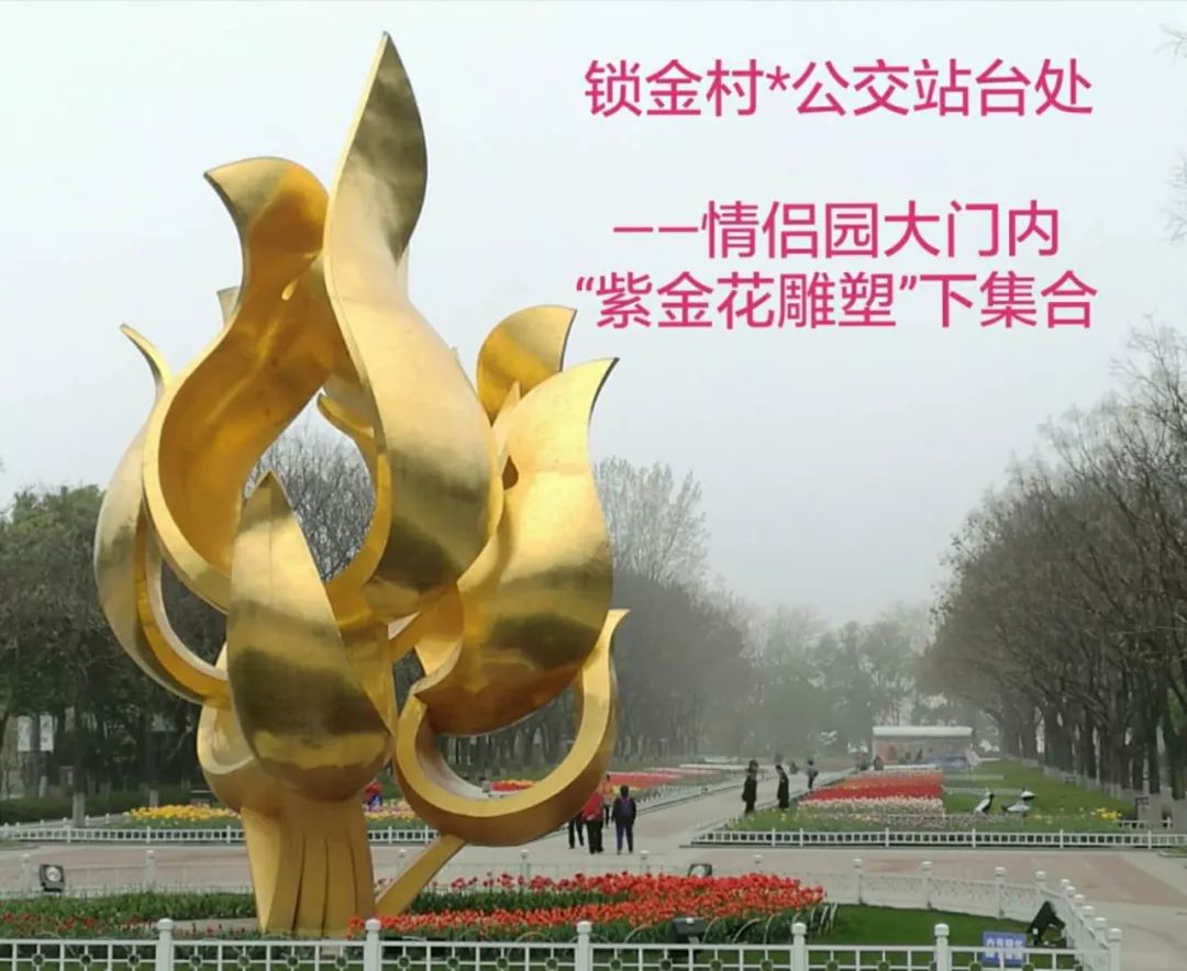 【水滴公益】情侣园郁金香文化艺术节,小记者参予文明旅游劝导保护