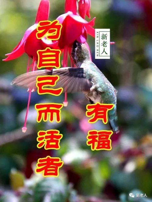 目前哪种退休人过得最快乐?没想到竟是这些人!出乎意料