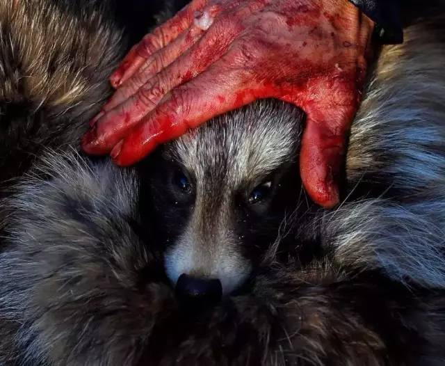 在被剥皮之后,血肉模糊的她们还活着,和一群同样被剥了皮的同伴堆在一