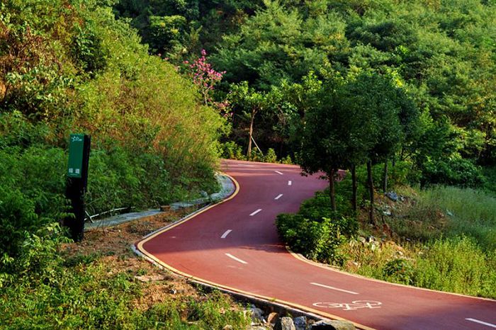 其中 "龙华茜坑绿道"段全长约7公里设有多个休闲节点和观景平台沿线