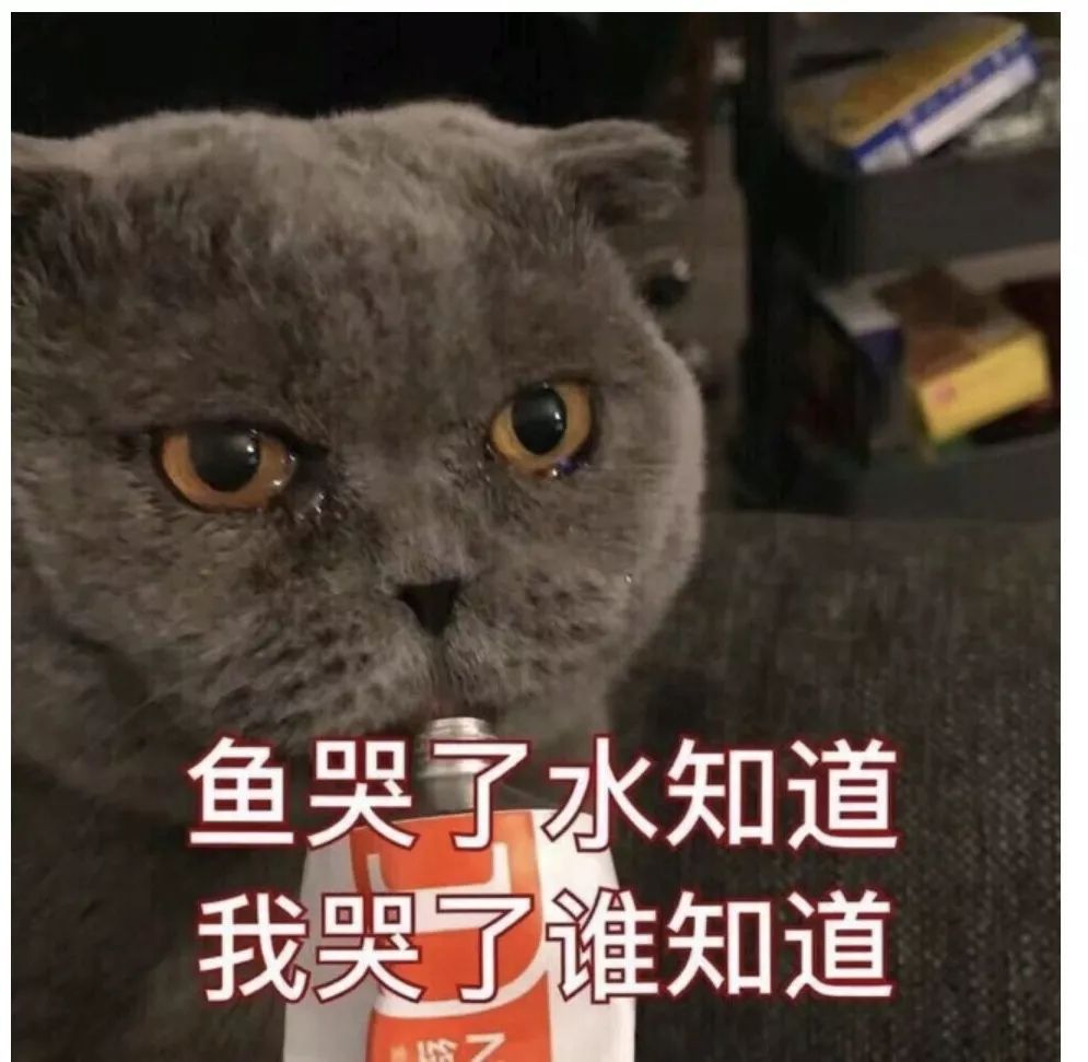 若林源三当众爆料:大空翼的原型居然是他?!