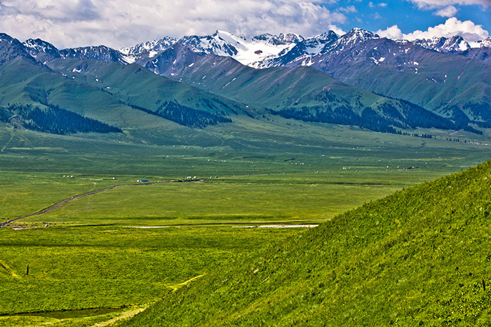 草原保护塞上江南伊犁草原