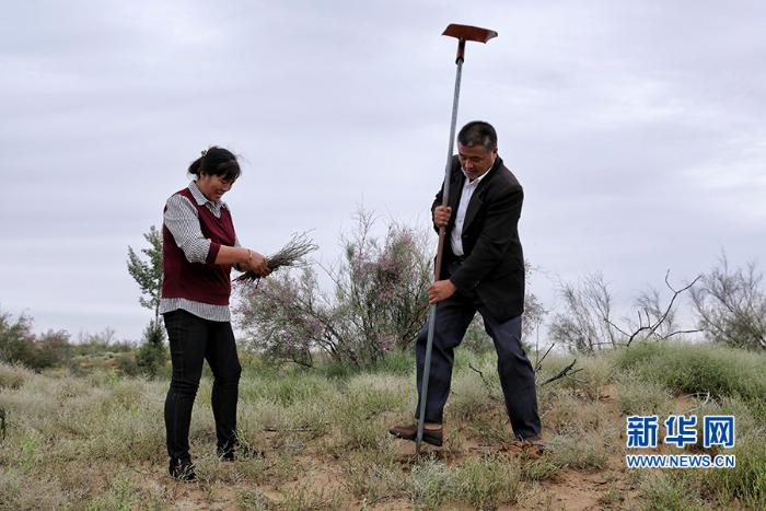 最美林业故事持枪入沙地治沙劳模王银吉