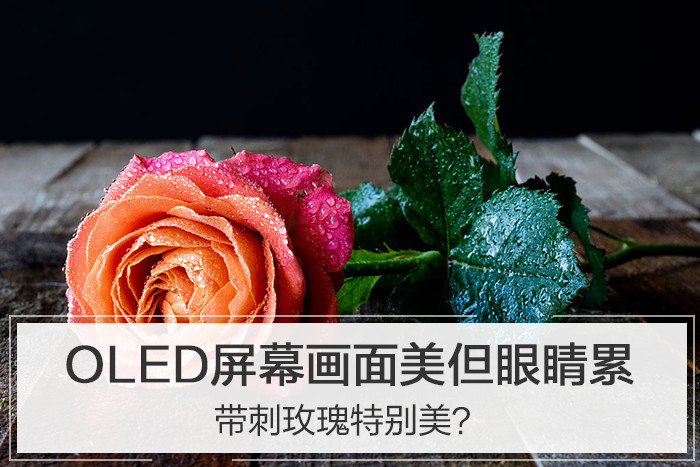 带刺玫瑰特别美oled屏幕画面美但眼睛会累