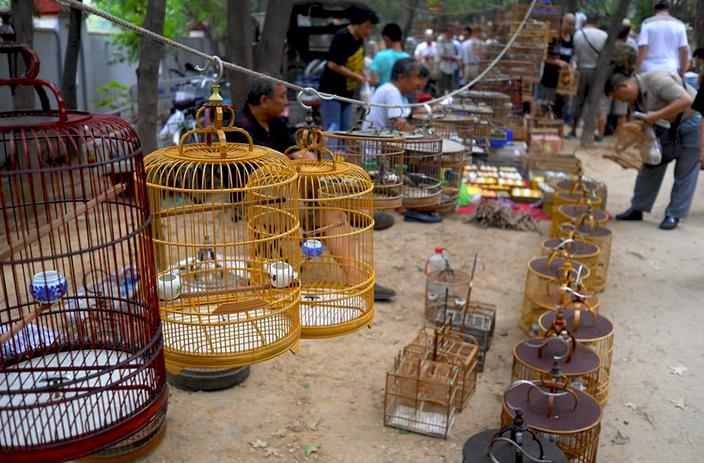 南昌市花鸟鱼虫市场