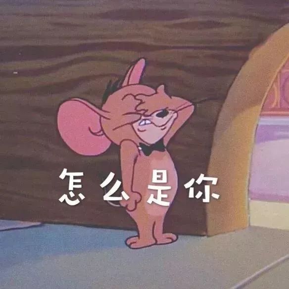 铃声壁纸鸭搞怪唯美个性的朋友圈封面图