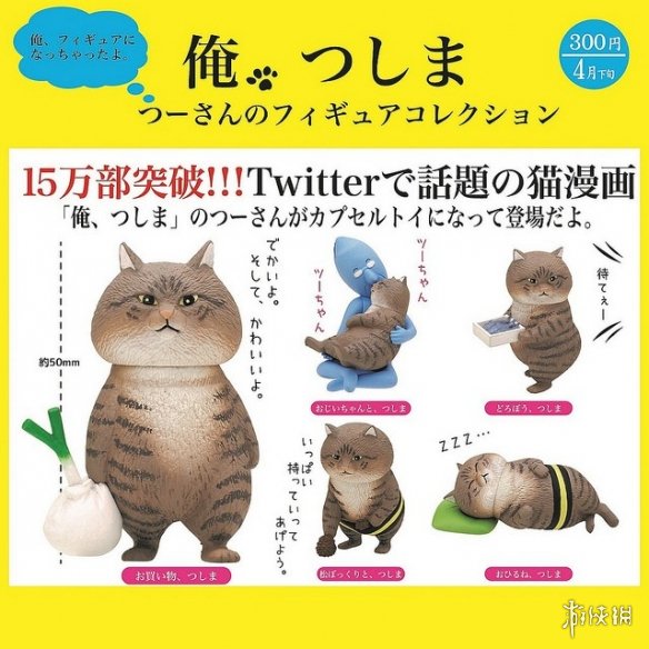 推特人气漫画猫咪つしま现实真的存在本体也超霸气