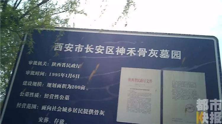 你 邻居 可能是盒骨灰墓地太贵有人买房存骨灰 手机新浪网