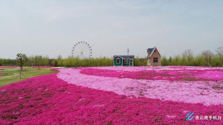 赣榆"丝路小镇"即将开园!这个五一绝对不能错过!