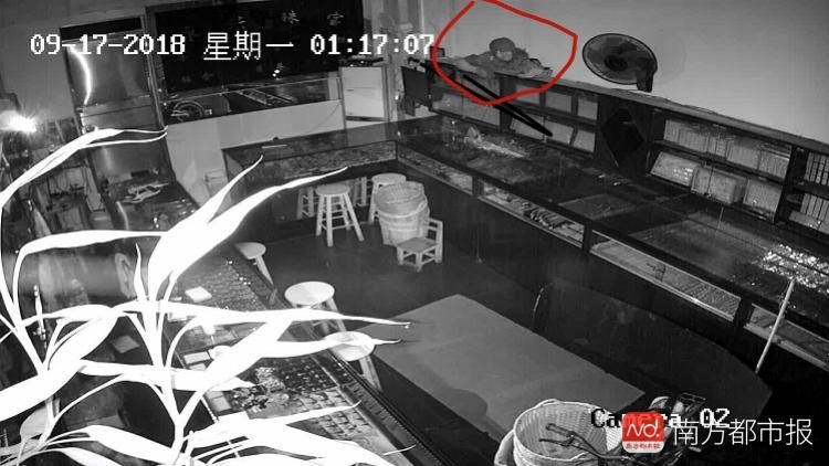 文章配图