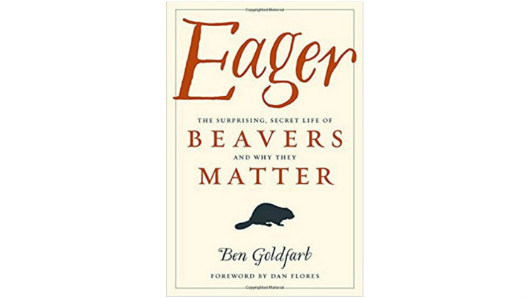 《渴望》(eager: the surprising, secret life of beavers and why