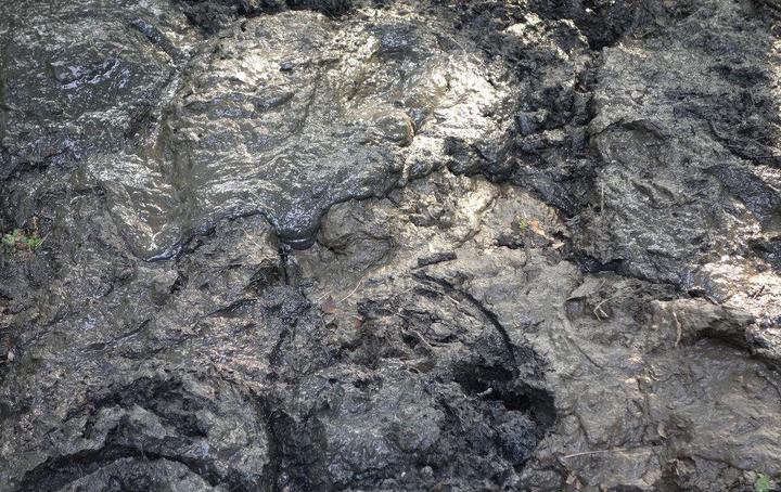 深夜倾倒废弃污泥温岭男子因涉嫌环境违法被拘