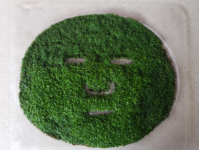 海藻面膜的作用与功效(长期敷牛奶海藻面膜好吗)-三七网