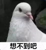 韩国华城杀人案嫌疑人供认:杀人14次 强奸30多次