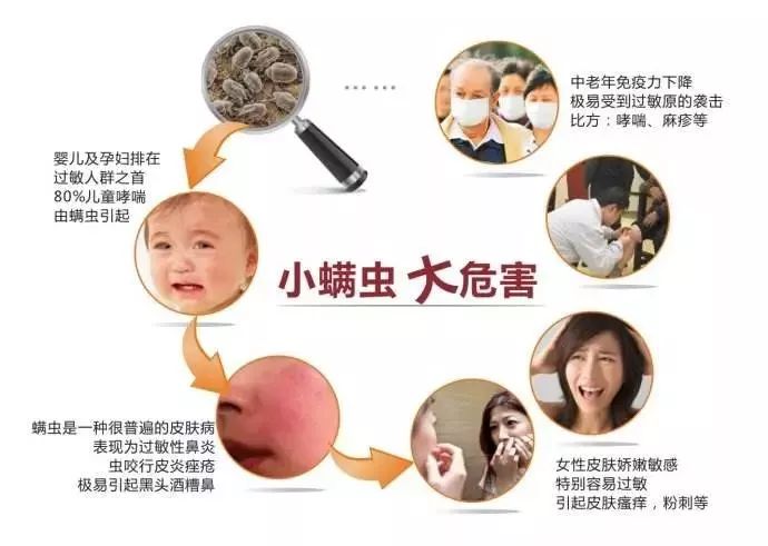 白糖放久了会滋生螨虫?这是真的!